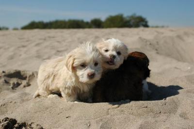 Oct7a_04_613.JPG