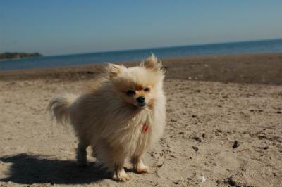 Oct7a_04_626.JPG