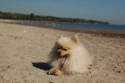 Oct7a_04_631.JPG