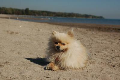 Oct7a_04_633.JPG