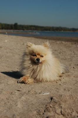 Oct7a_04_641.JPG