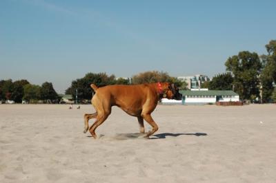 Oct7a_04_648.JPG