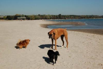 Oct7a_04_654.JPG