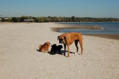 Oct7a_04_658.JPG