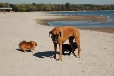 Oct7a_04_662.JPG