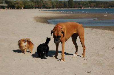 Oct7a_04_667.JPG