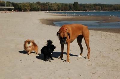 Oct7a_04_668.JPG