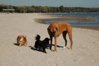 Oct7a_04_669.JPG