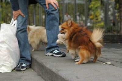Oct8_04_088.JPG