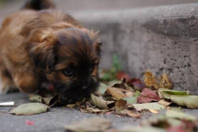 Oct8a_04_150.JPG