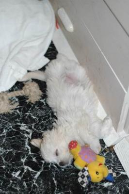 Oct10b_04_132.JPG