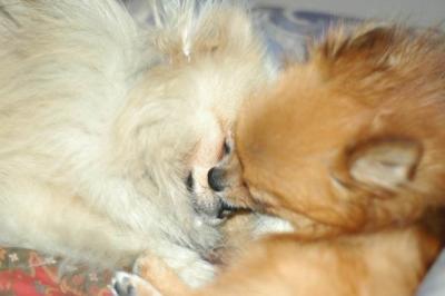 Oct10aa_04_009.JPG