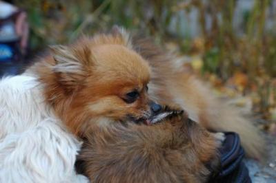 Oct10aa_04_141.JPG