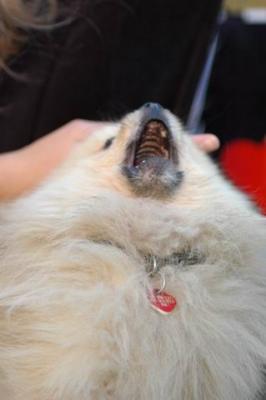 Oct10aa_04_180.JPG