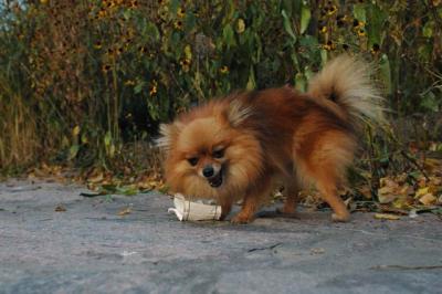 Oct10aa_04_336.JPG