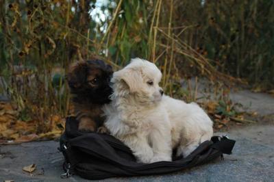 Oct10aa_04_398.JPG