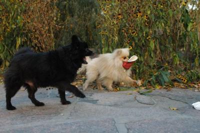 Oct10aa_04_423.JPG