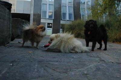 Oct10aa_04_442.JPG