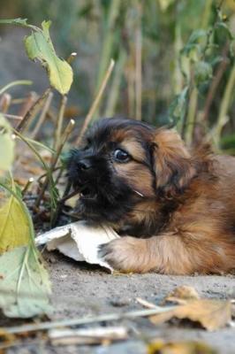 Oct10aa_04_458.JPG