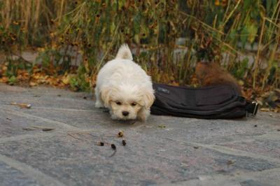 Oct10aa_04_504.JPG