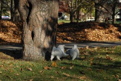 u49/billmcintyre/medium/36473545.Nov13_04_295.jpg
