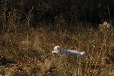 u49/billmcintyre/medium/36473673.Nov13_04_420.jpg