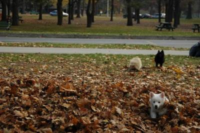 Nov16_04_511.JPG