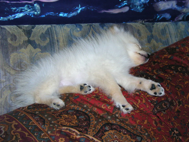 Mar16_05_003.JPG