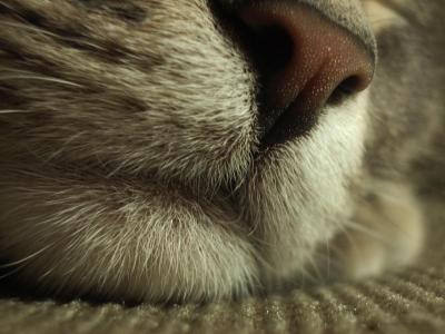 zzzzz.JPG