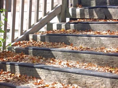 Fall Stairs At Toogood Pond.jpg