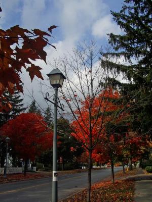 Street Light Unionville