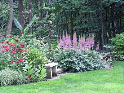 u49/blphotography/medium/36267628.04AstilbeandMonarda.jpg