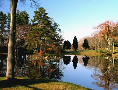 wSugarloaf Reflections5.jpg