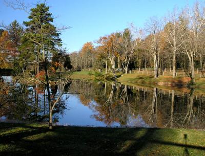 wSugarloaf Reflections7.jpg