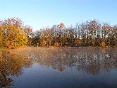 wBlack Hills Reflection1.jpg