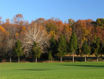 wSugarloaf Rows2.jpg