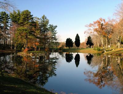 wSugarloaf Reflections.jpg