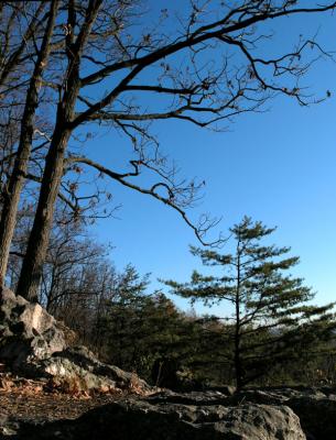 wSL East View.jpg