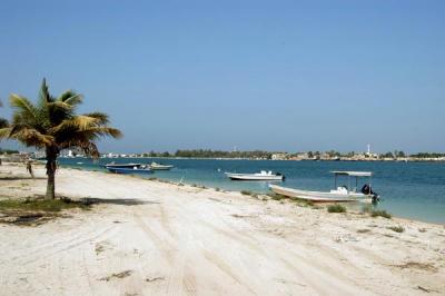 u49/bmcmorrow/medium/35627592.uae116.jpg