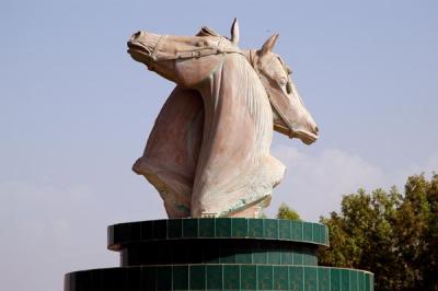 u49/bmcmorrow/medium/35627615.uae169.jpg