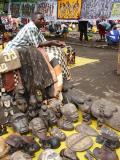 Saturday market