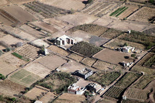 Farmland near Sana'a, Yemen