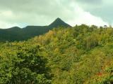 Piton de la Petite Riviere Noire