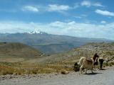 Colca Valley