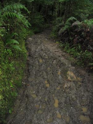 mud, anyone?