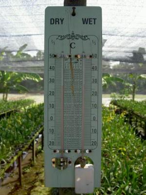 A thermometer at Pichet Orchid Farm