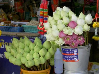 Water lily for prayers selling at Khruba Sriwichai Monument