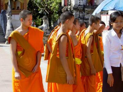 The young monks at Wat Phra Sihing
