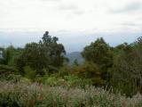 PICT1751.JPG
