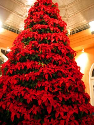 Poinsettia Christmas Tree